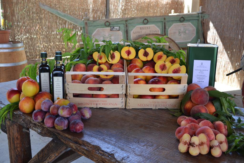 Agriturismo Montecorona Country house Umbertide